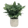 Sonoma Goods For Life® Sonoma Faux House Plant -Sonoma Goods For Life ® Sales Store 4592400