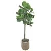 Sonoma Goods For Life® Artificial Fiddle Leaf Fig Floor Decor -Sonoma Goods For Life ® Sales Store 4836187