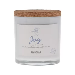 Sonoma Goods For Life® Spa Joy 3-Wick Candle Jar