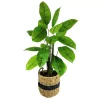 Sonoma Goods For Life® 3-ft. Artificial Greenery Floor Decor -Sonoma Goods For Life ® Sales Store 5583142