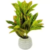 Sonoma Goods For Life® Artificial Potted Greenery Floor Decor -Sonoma Goods For Life ® Sales Store 5583143