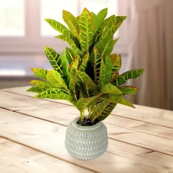 Sonoma Goods For Life® Artificial Potted Greenery Floor Decor -Sonoma Goods For Life ® Sales Store 5583143 ALT2