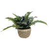 Sonoma Goods For Life® Artificial Mixed Greenery Plant Table Decor -Sonoma Goods For Life ® Sales Store 5635803