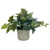 Sonoma Goods For Life® Artificial Trailing Ivy Plant Table Decor -Sonoma Goods For Life ® Sales Store 5635805