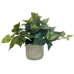 Sonoma Goods For Life® Artificial Trailing Ivy Plant Table Decor