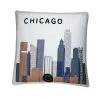 Sonoma Goods For Life® Chicago Feather Fill Throw Pillow -Sonoma Goods For Life ® Sales Store 5677755