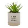 Sonoma Goods For Life® I Run This Rodeo Artificial Potted Plant Table Decor -Sonoma Goods For Life ® Sales Store 5896121