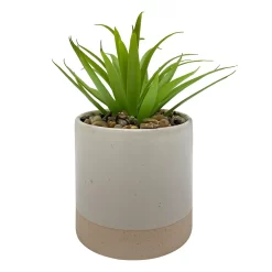 Sonoma Goods For Life® I Run This Rodeo Artificial Potted Plant Table Decor -Sonoma Goods For Life ® Sales Store 5896121 ALT