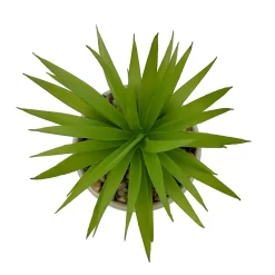 Sonoma Goods For Life® I Run This Rodeo Artificial Potted Plant Table Decor -Sonoma Goods For Life ® Sales Store 5896121 ALT2