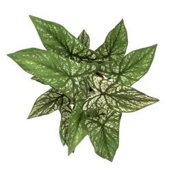 Sonoma Goods For Life® Greenery In Terracotta Pot -Sonoma Goods For Life ® Sales Store 5897083 ALT2