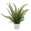 Sonoma Goods For Life® Faux Fern In Ceramic Pot -Sonoma Goods For Life ® Sales Store 5897085