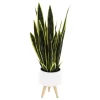 Sonoma Goods For Life® Faux Snake Plant In Midcentry Modern Pot -Sonoma Goods For Life ® Sales Store 5897091