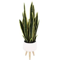 Sonoma Goods For Life® Faux Snake Plant In Midcentry Modern Pot -Sonoma Goods For Life ® Sales Store 5897091 ALT