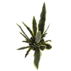 Sonoma Goods For Life® Faux Snake Plant In Midcentry Modern Pot -Sonoma Goods For Life ® Sales Store 5897091 ALT2