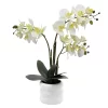 Sonoma Goods For Life® Faux Orchid In Ceramic Pot Floor Decor -Sonoma Goods For Life ® Sales Store 5902386