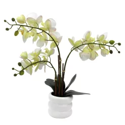 Sonoma Goods For Life® Faux Orchid In Ceramic Pot Floor Decor -Sonoma Goods For Life ® Sales Store 5902386 ALT