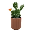 Sonoma Goods For Life® Faux Flowering Cactus Table Decor -Sonoma Goods For Life ® Sales Store 5902636