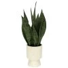 Sonoma Goods For Life® Faux Snake Plant In Ceramic Vessel -Sonoma Goods For Life ® Sales Store 5902774