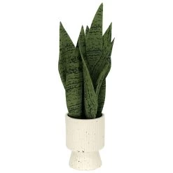Sonoma Goods For Life® Faux Snake Plant In Ceramic Vessel -Sonoma Goods For Life ® Sales Store 5902774 ALT