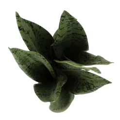 Sonoma Goods For Life® Faux Snake Plant In Ceramic Vessel -Sonoma Goods For Life ® Sales Store 5902774 ALT2