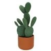Sonoma Goods For Life® Prickly Pear Cactus In Terracotta Pot 1 Sonoma Goods For Life® Prickly Pear Cactus In Terracotta Pot -Sonoma Goods For Life ® Sales Store 5902775