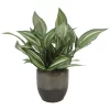 Sonoma Goods For Life® Greenery In Reactive Glaze Ceramic Pot -Sonoma Goods For Life ® Sales Store 5902858