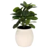 Sonoma Goods For Life® Artificial Greenery In Ceramic Jar -Sonoma Goods For Life ® Sales Store 5902872