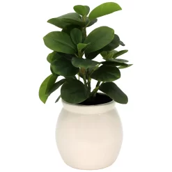Sonoma Goods For Life® Artificial Greenery In Ceramic Jar -Sonoma Goods For Life ® Sales Store 5902872 ALT