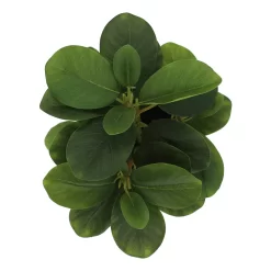 Sonoma Goods For Life® Artificial Greenery In Ceramic Jar -Sonoma Goods For Life ® Sales Store 5902872 ALT2