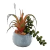 Sonoma Goods For Life® Succulent Artificial Greenery Photo Clip -Sonoma Goods For Life ® Sales Store 5903701