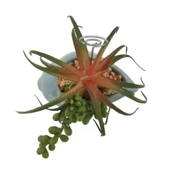 Sonoma Goods For Life® Succulent Artificial Greenery Photo Clip -Sonoma Goods For Life ® Sales Store 5903701 ALT4