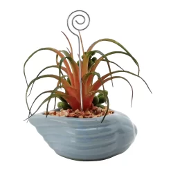 Sonoma Goods For Life® Succulent Artificial Greenery Photo Clip -Sonoma Goods For Life ® Sales Store 5903701 ALT5