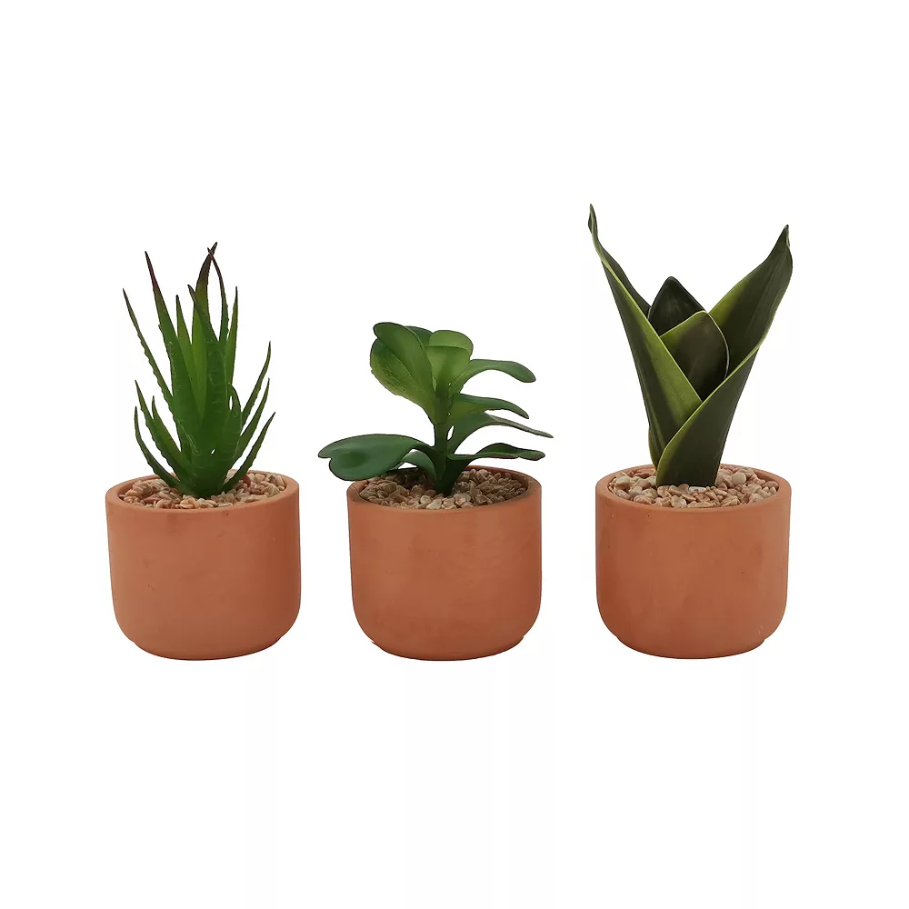 Sonoma Goods For Life® 3 Pack Mini Artificial Succulent Plants 3 Sonoma Goods For Life® 3 Pack Mini Artificial Succulent Plants