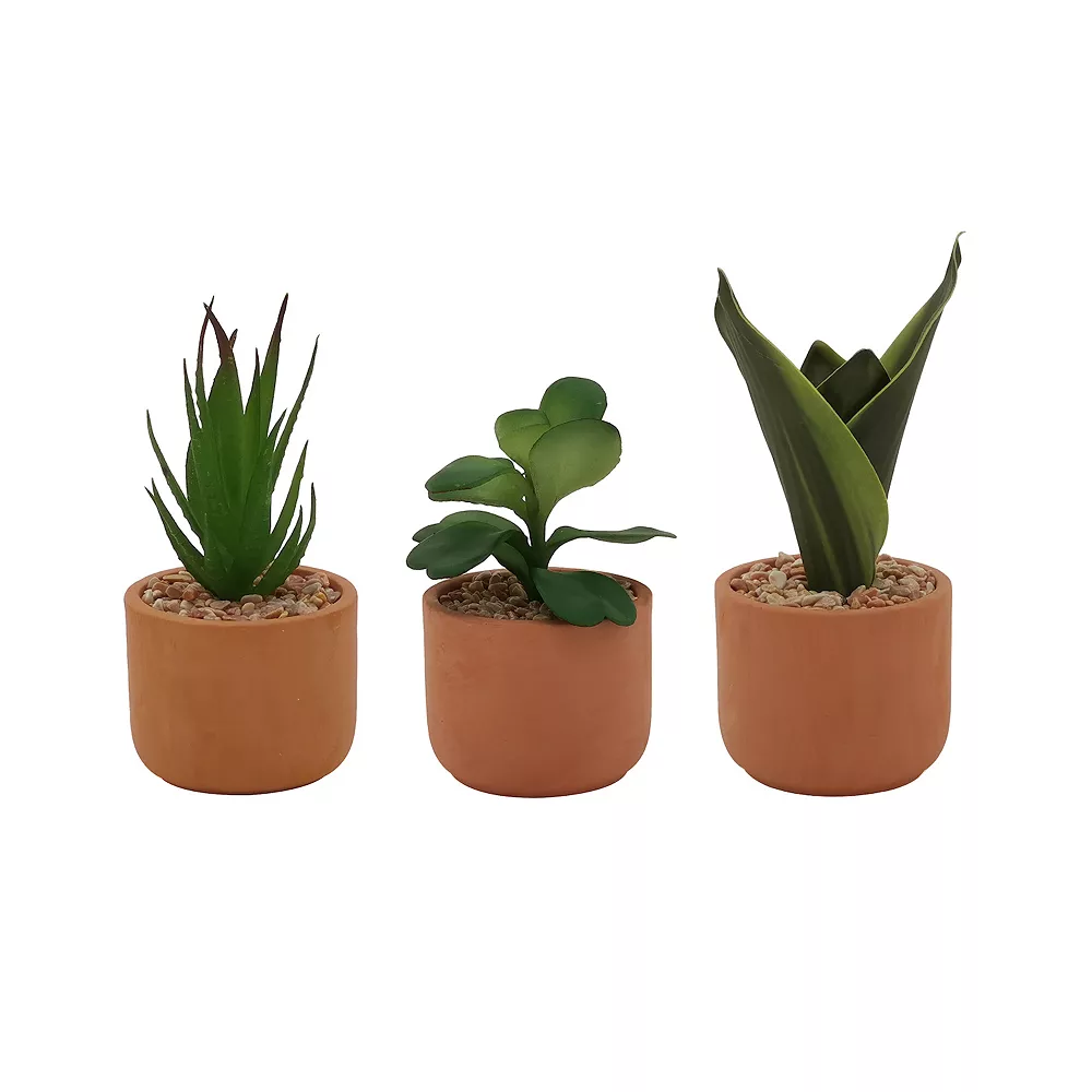 Sonoma Goods For Life® 3 Pack Mini Artificial Succulent Plants 4 Sonoma Goods For Life® 3 Pack Mini Artificial Succulent Plants - Image 2
