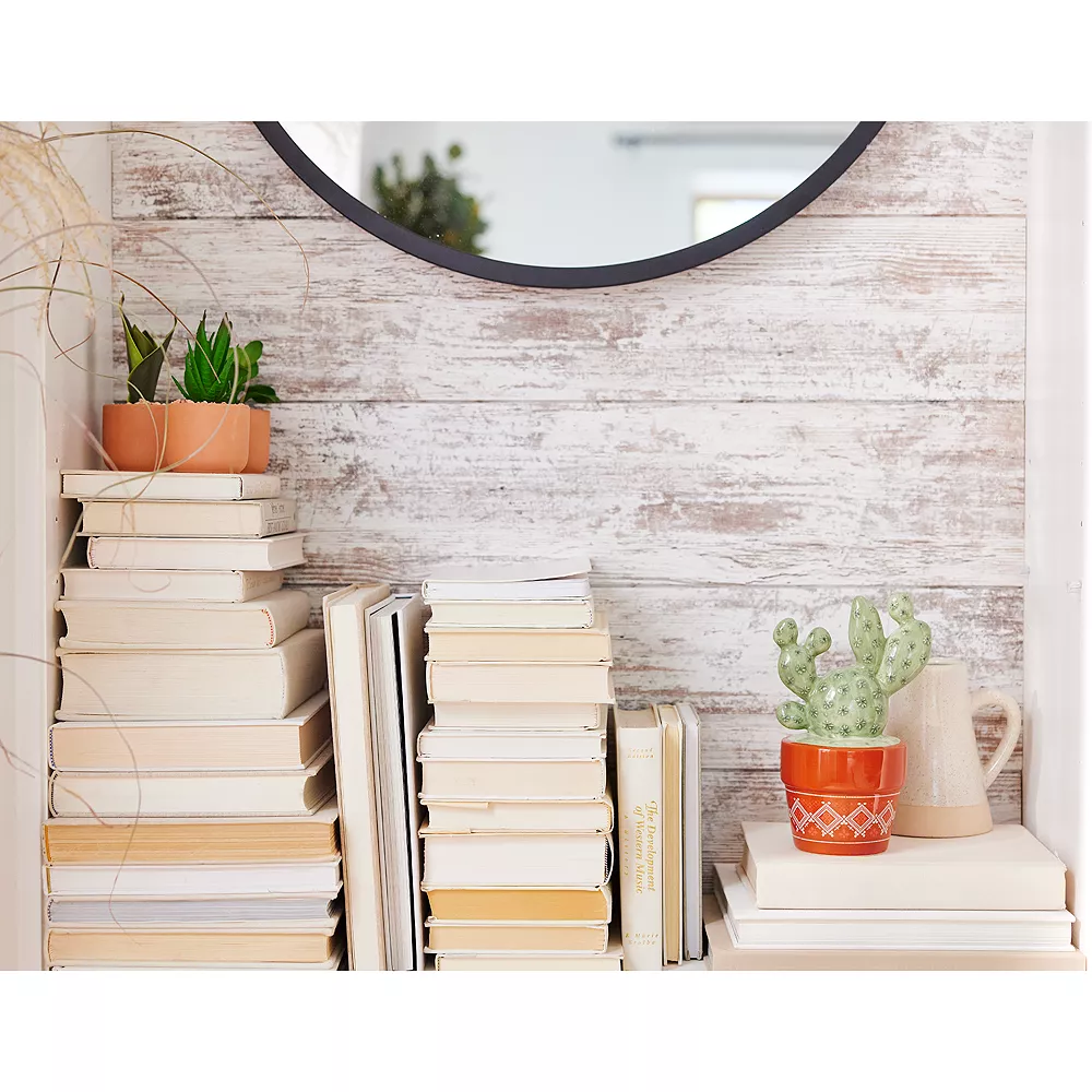 Sonoma Goods For Life® 3 Pack Mini Artificial Succulent Plants 5 Sonoma Goods For Life® 3 Pack Mini Artificial Succulent Plants - Image 3