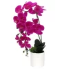 Sonoma Goods For Life® Artificial Fuschia Orchid Plant Table Decor -Sonoma Goods For Life ® Sales Store 5904653