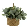 Sonoma Goods For Life® Artificial Eucalyptus Floral Basket Table Decor