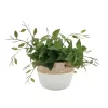 Sonoma Goods For Life® Artificial Greenery In Cement Pot 2 Sonoma Goods For Life® Artificial Greenery In Cement Pot -Sonoma Goods For Life ® Sales Store 5904745