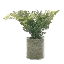 Sonoma Goods For Life® Artificial Fern In Glass Pot -Sonoma Goods For Life ® Sales Store 5904746 ALT