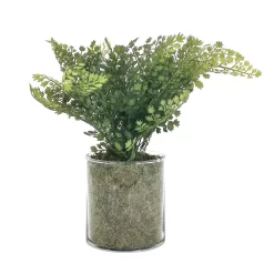 Sonoma Goods For Life® Artificial Fern In Glass Pot -Sonoma Goods For Life ® Sales Store 5904746 ALT3