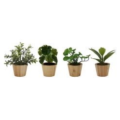 Sonoma Goods For Life® 4-Pack Mini Greenery -Sonoma Goods For Life ® Sales Store 5904749 ALT