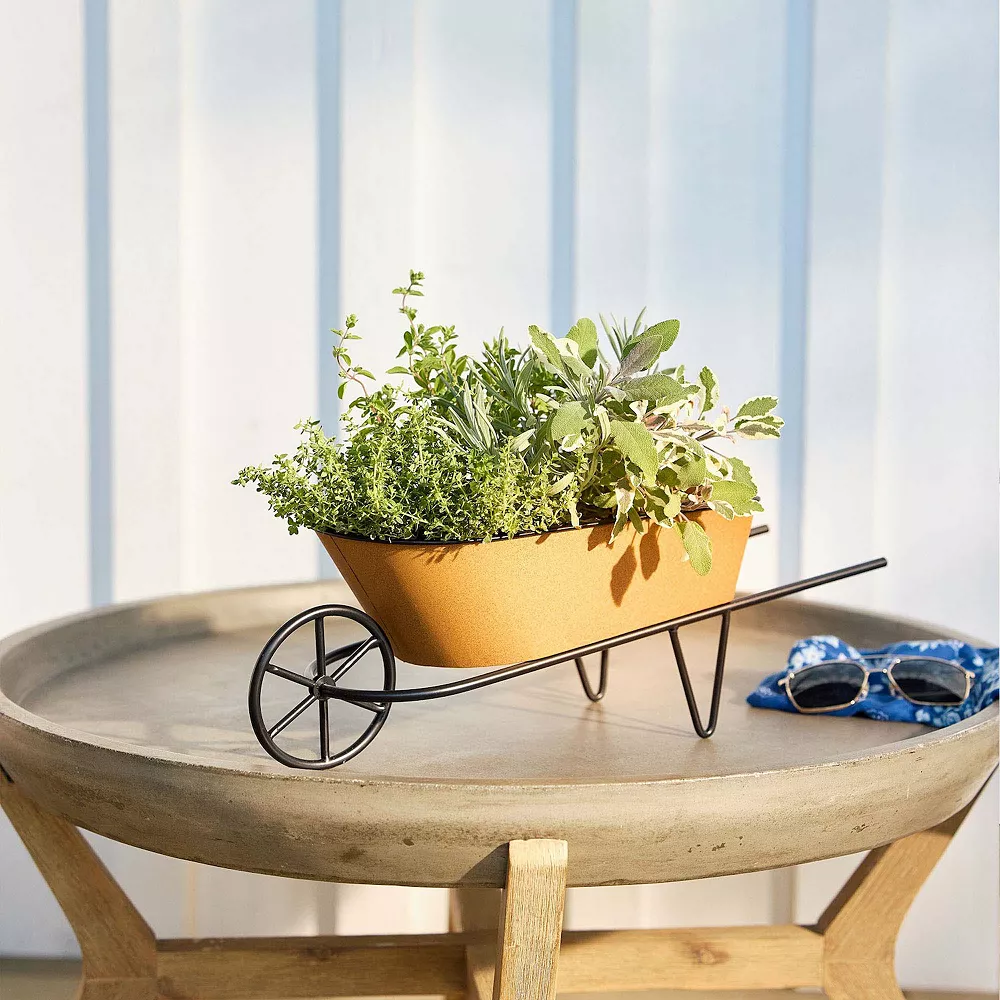 Sonoma Goods For Life® Wheel Barrow Planter Table Decor 4 Sonoma Goods For Life® Wheel Barrow Planter Table Decor - Image 2