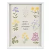 Sonoma Goods For Life® Framed Botanical Art -Sonoma Goods For Life ® Sales Store 5979607