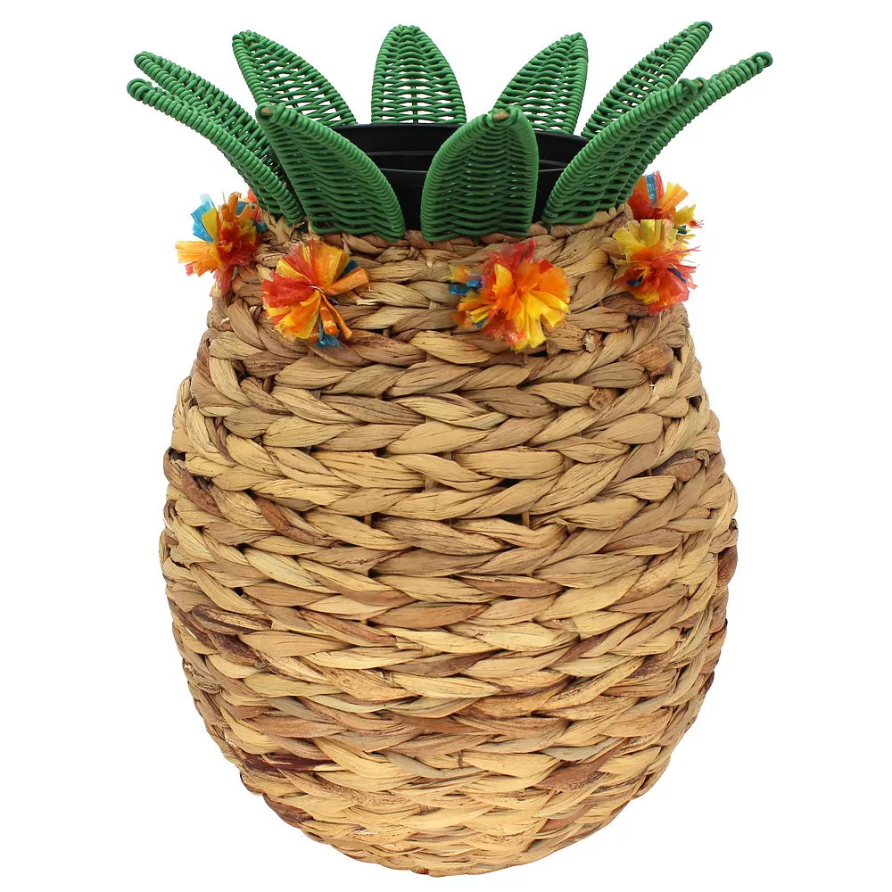 Sonoma Goods For Life® Pineapple Planter Floor Decor 3 Sonoma Goods For Life® Pineapple Planter Floor Decor