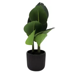 Sonoma Goods For Life® Banana Leaf Plant In Ceramic Pot -Sonoma Goods For Life ® Sales Store 6004226 ALT